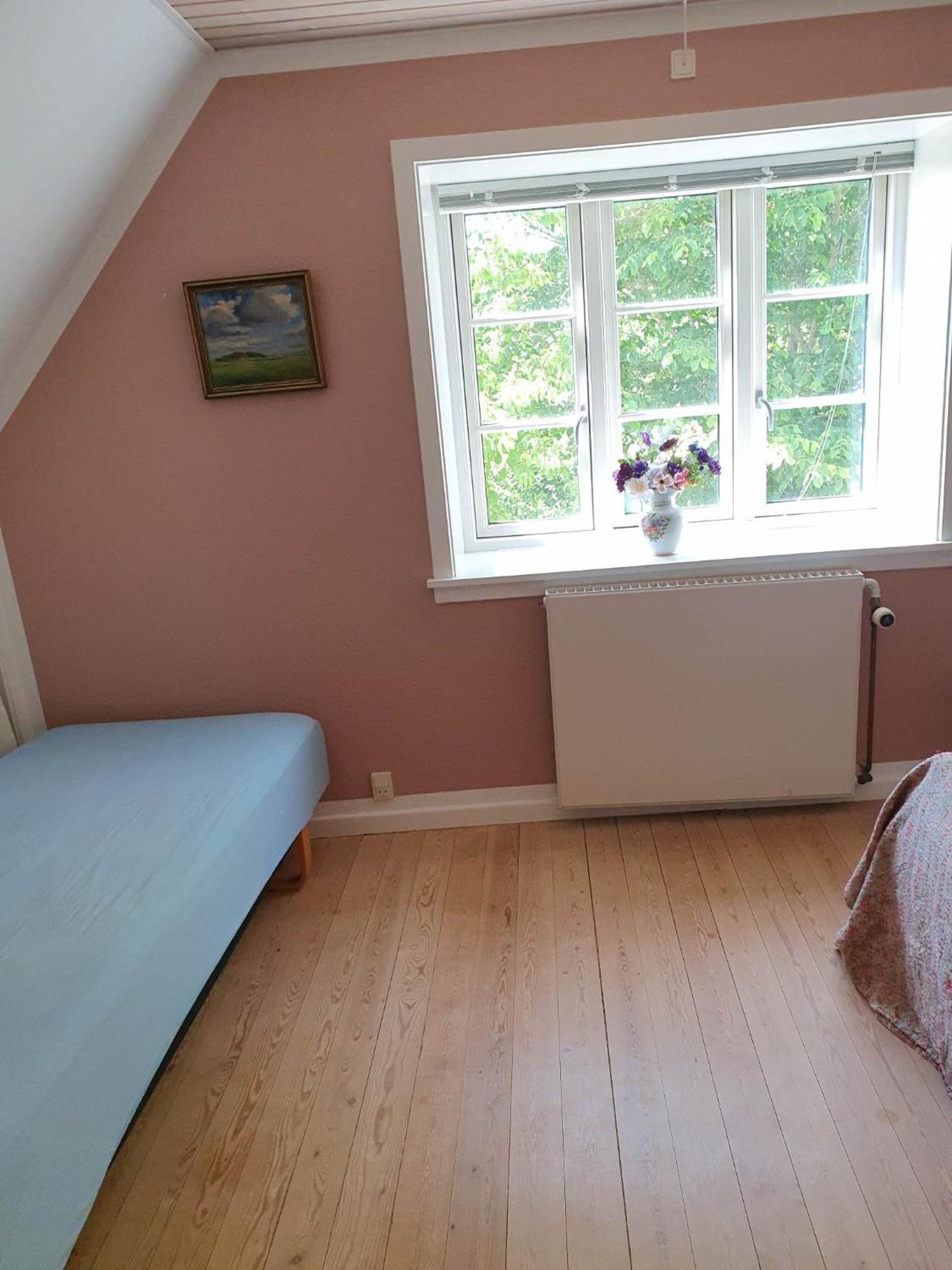 Pegasus Bed & Breakfast Hillerød Exteriér fotografie