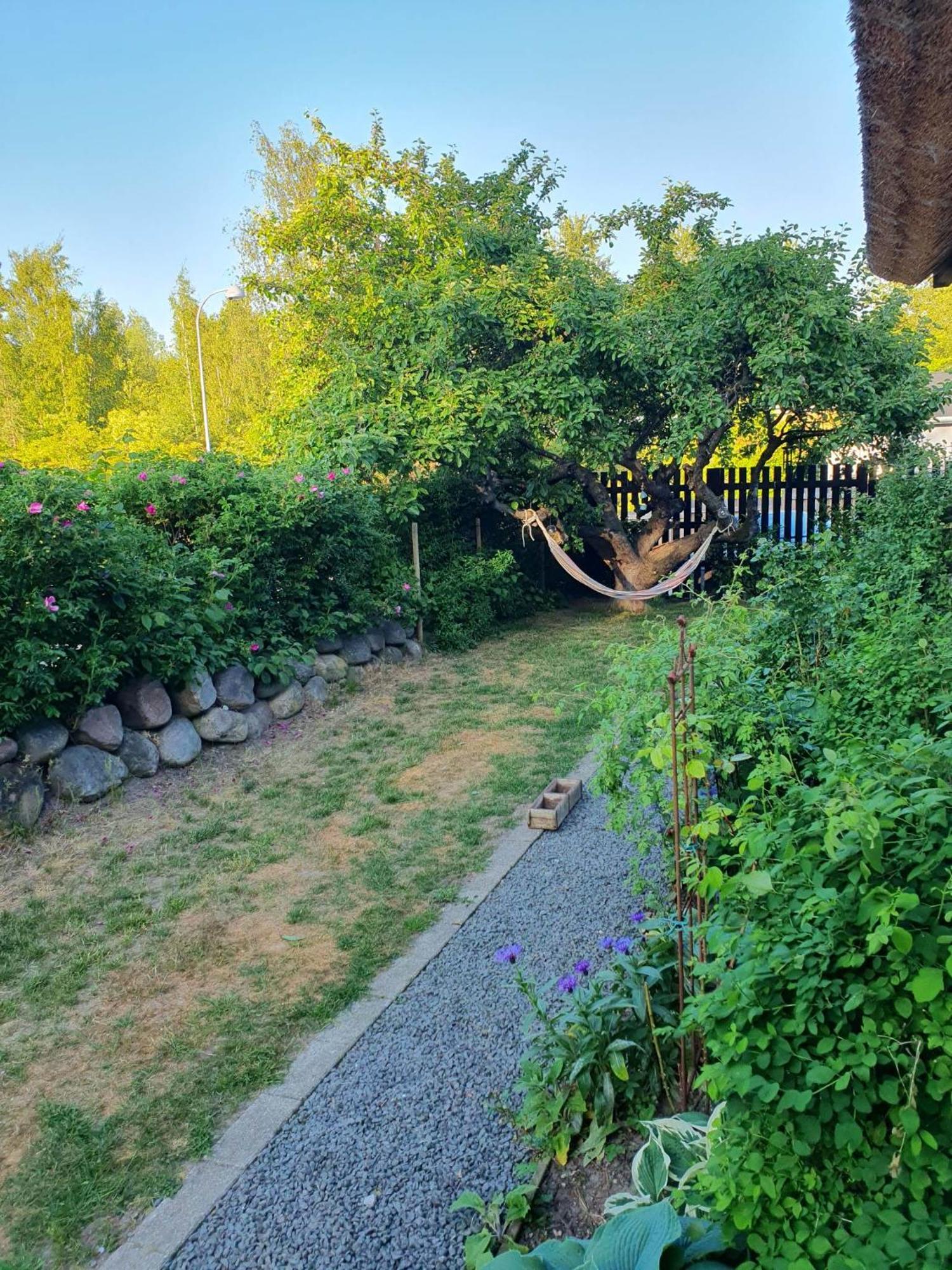 Pegasus Bed & Breakfast Hillerød Exteriér fotografie